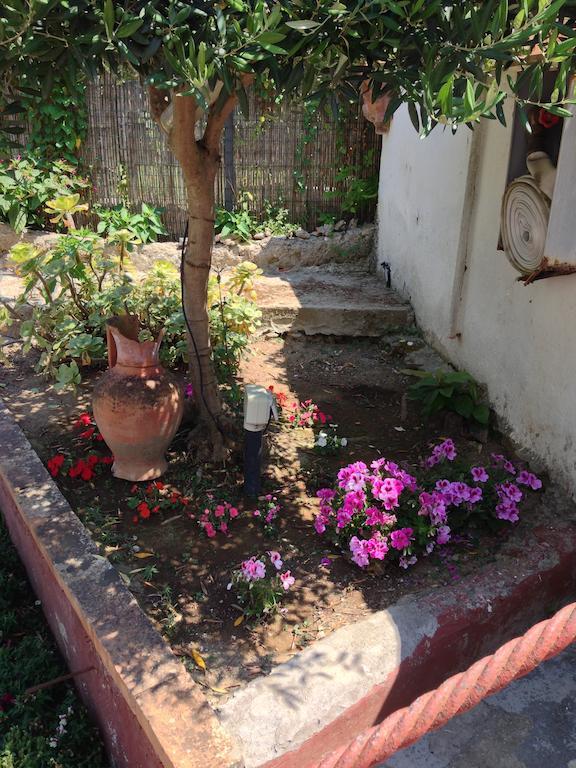 Mediterraneo Bed & Breakfast อนากาปรี ภายนอก รูปภาพ